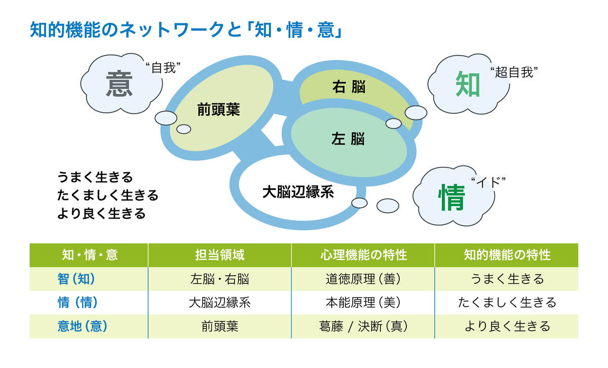 知的機能のネットワークと「知・情・意」